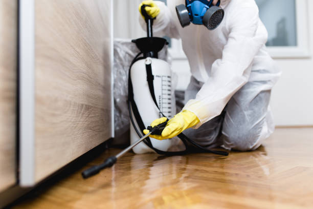 Best Flea Control Services  in Kremmling, CO