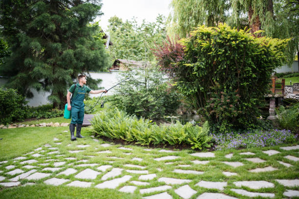 Best Residential Pest Control  in Kremmling, CO